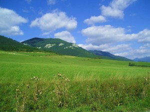 Obrázok