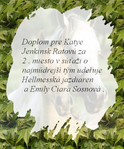 Obrázok